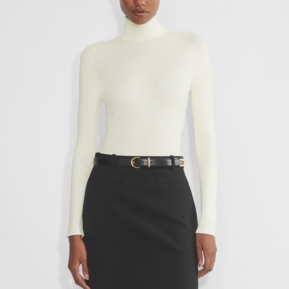 Babaton Tops - Aritzia Babaton color. Light Birch Compel Turtleneck